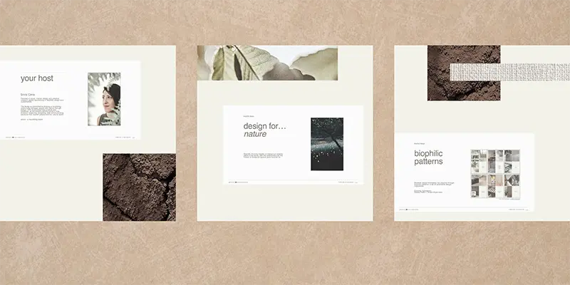 Image of the previous biophilic design workshop held by industry expert Silvia Ceria, for Interior Design Institute students