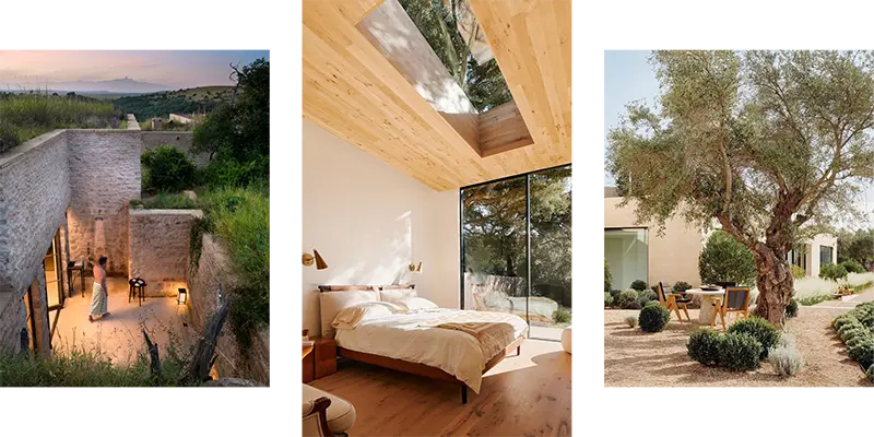Images of biophilic design in indoor and outdoor living spaces