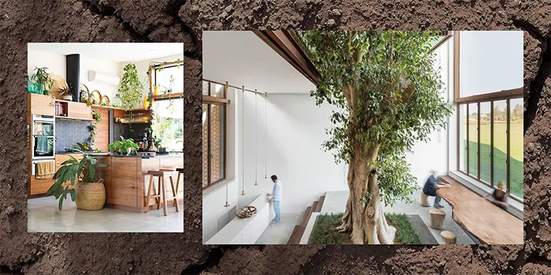 Examples of biophilic design in kitchen and communal dining areas