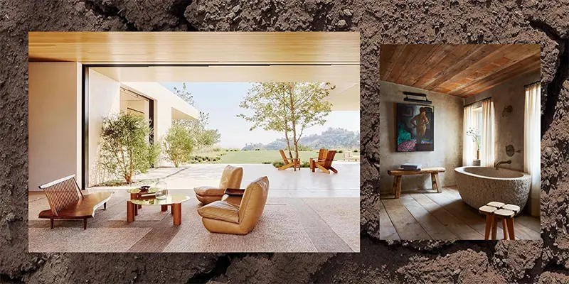 Examples of biophilic spaces that incorporate natural light